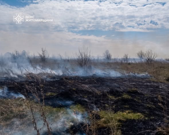 ��������� ���� ���������� �� ��������: ������������ ����������� ���������� �������� �� ����������