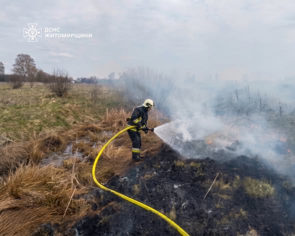 ��������� ���� ���������� �� ��������: ������������ ����������� ���������� �������� �� ����������