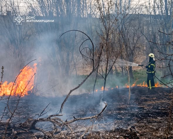 ��������� ���� ���������� �� ��������: ������������ ����������� ���������� �������� �� ����������