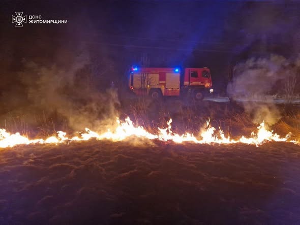 �������� ������ ���� �������� ���� ����������� ��������� 6 �������� ���� ����������