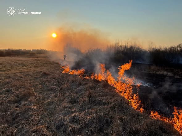 �������� ������ ���� �������� ���� ����������� ��������� 6 �������� ���� ����������