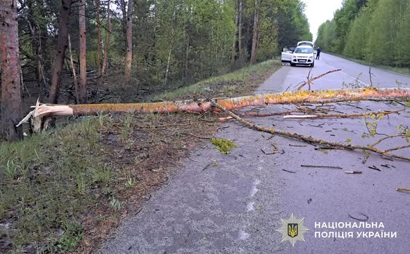� �������������� ������ ��������� ������������ ��������� ������� ����������� � ���