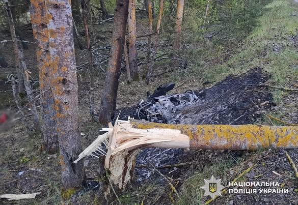 � �������������� ������ ��������� ������������ ��������� ������� ����������� � ���
