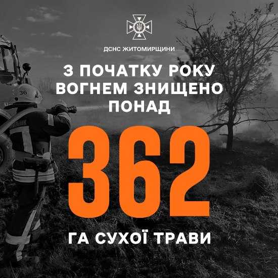 ³� ������� ���� �� ����������� ��� ������� 516 �������� ���� ����������