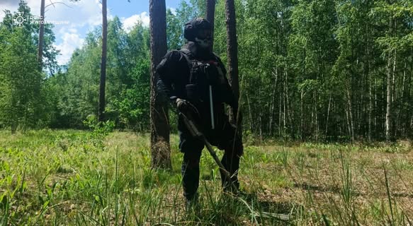 � ������������� ������ ������ ���� ������� �������� ���� ����� ������ ����