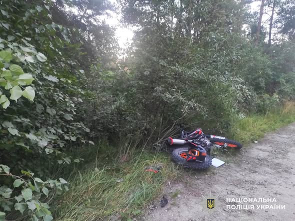 �������� �������� �� ����������� ������� ��� ��� � ������������: ��������� ��������� ������������